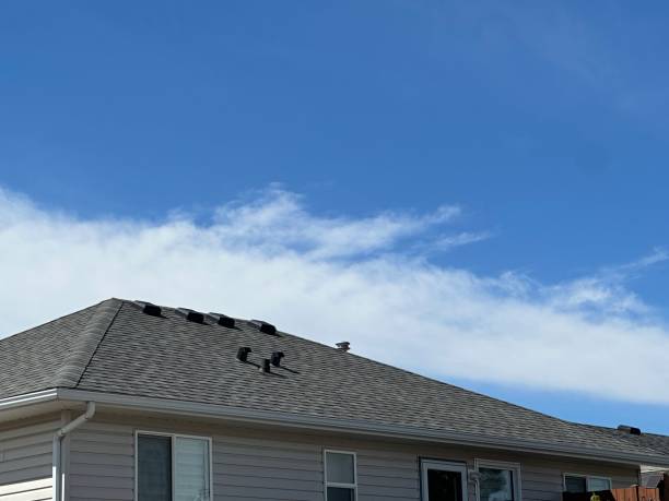 Best Slate Roofing  in Starke, FL